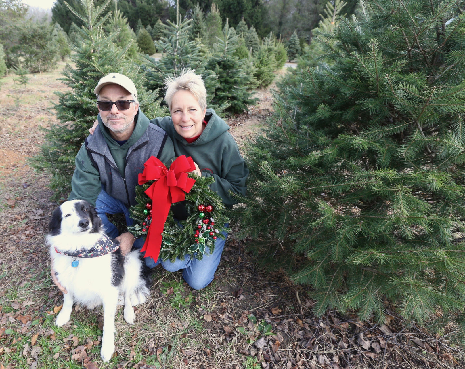 Littleworth Christmas Tree Farm